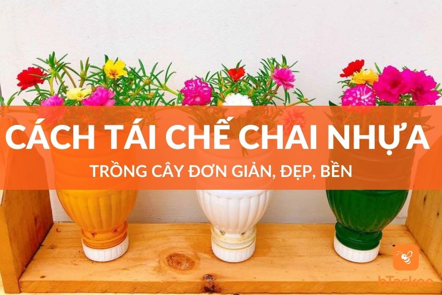Cách Tái Chế Chai Nhựa Trồng Cây Đơn Giản, Đẹp, Bền