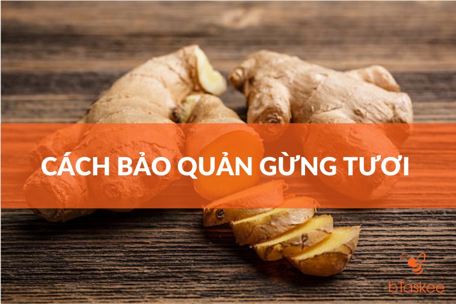 Mách Bạn Cách Bảo Quản Gừng Tươi Thơm Quanh Năm