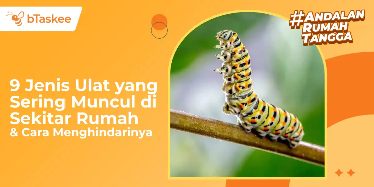 9 Jenis Ulat yang Sering Muncul di Sekitar Rumah & Cara Menghindarinya