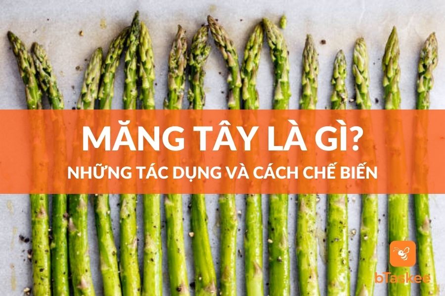 Măng Tây Là Gì? Tác Dụng Và Cách Chế Biến Đúng Chuẩn