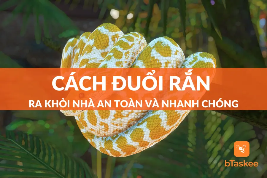 Cách Đuổi Rắn Ra Khỏi Nhà An Toàn Và Nhanh Chóng