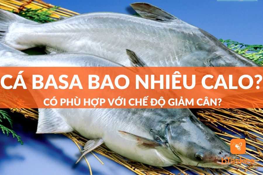 Cá Basa Bao Nhiêu Calo? Có Phù Hợp Với Chế Độ Giảm Cân?