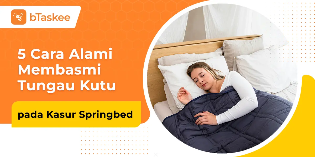 5 Cara Alami Membasmi Tungau Kutu pada Kasur Springbed