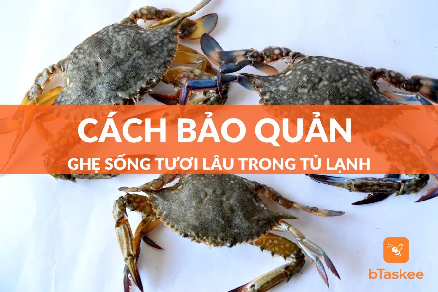 Chia Sẻ Cách Bảo Quản Ghẹ Sống Tươi Lâu Trong Tủ Lạnh