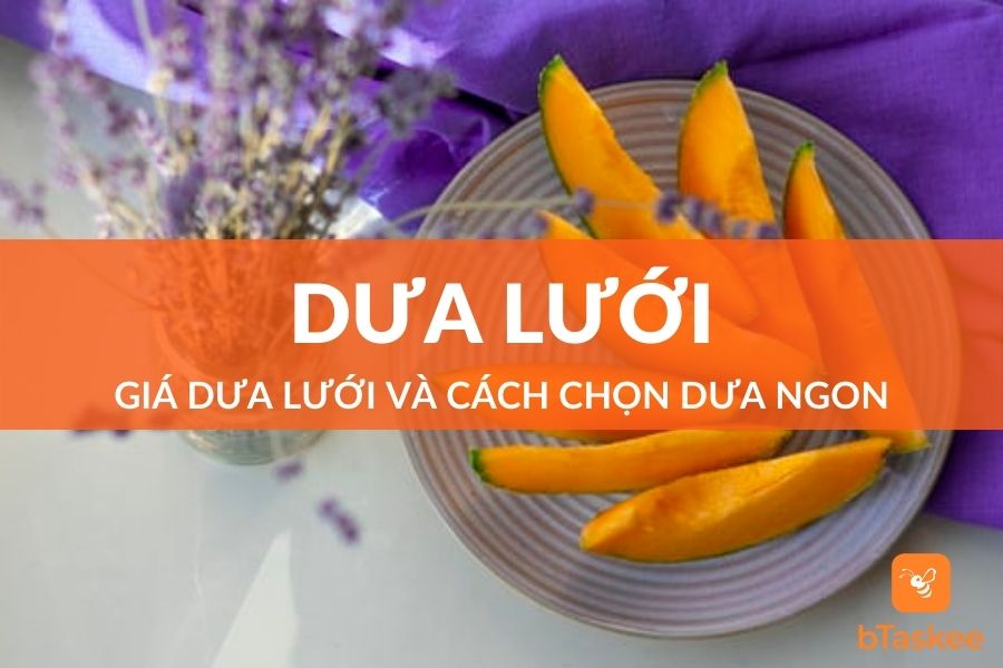 Công Dụng Dưa Lưới Và Bí Quyết Chọn Các Loại Dưa Ngon