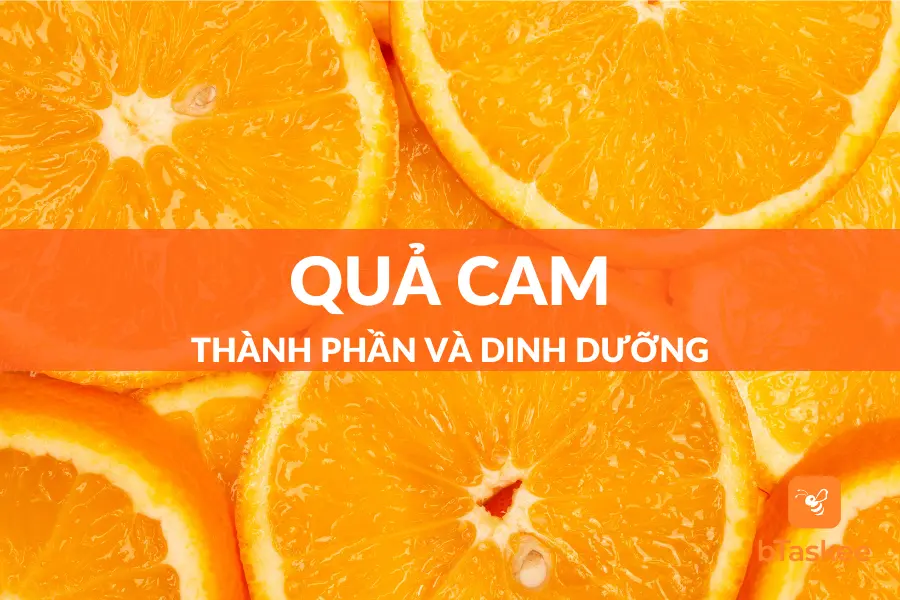 Quả Cam: Thành phần Dinh Dưỡng Và Tác Dụng Tuyệt Vời