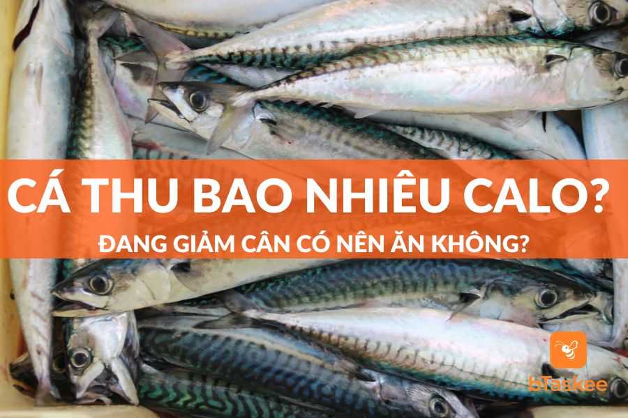 Cá Thu Bao Nhiêu Calo? Đang Giảm Cân Có Nên Ăn Không?