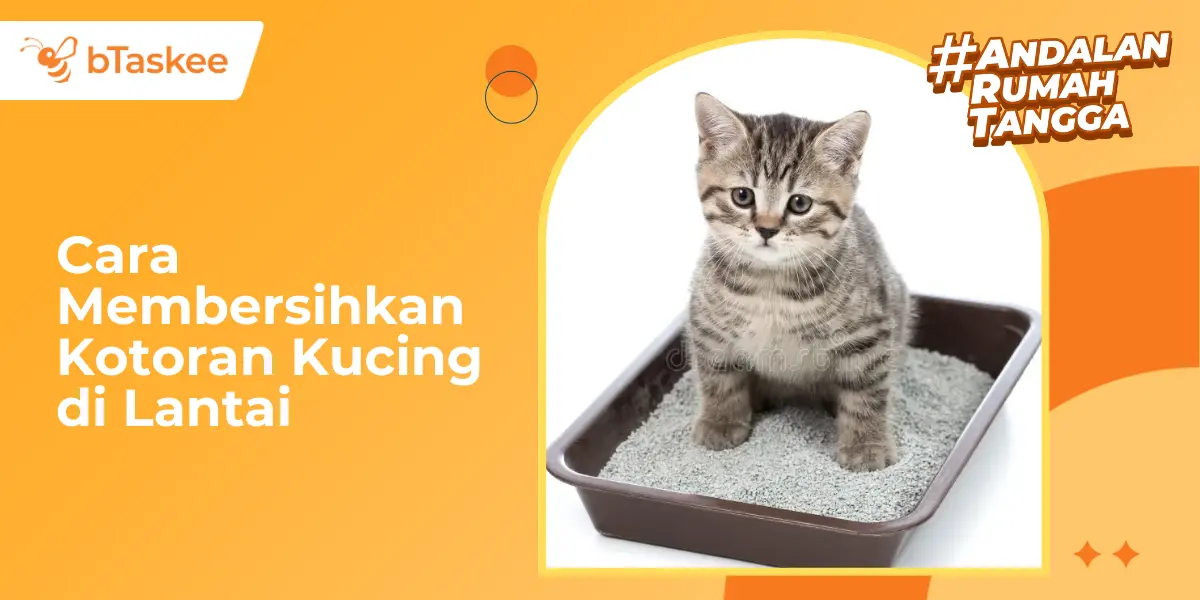 Cara Membersihkan Kotoran Kucing di Lantai: Cepat &amp; Anti Bau
