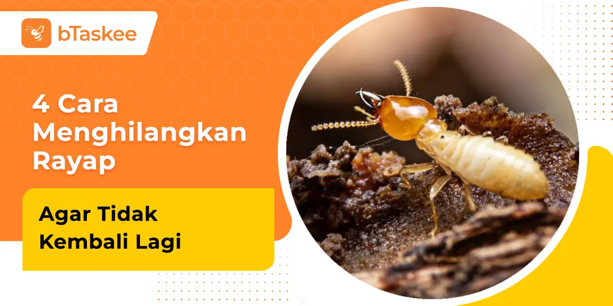 4 Cara Menghilangkan Rayap Agar Tidak Kembali Lagi