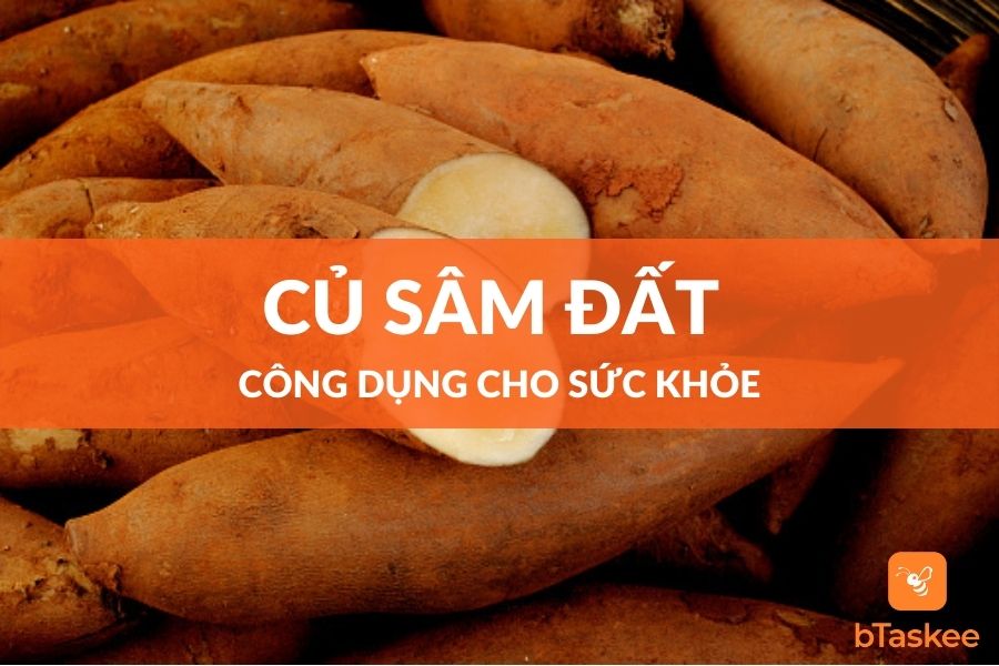 Củ Sâm Đất Công Dụng Tuyệt Vời Cho Sức Khỏe