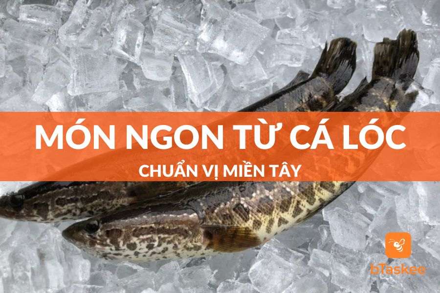 Bỏ Túi Danh Sách 8+ Món Ngon Từ Cá Lóc Chuẩn Vị Miền Tây