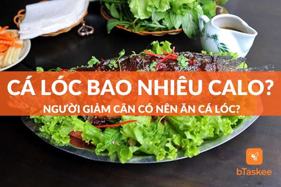 Cá Lóc Bao Nhiêu Calo? Ăn Nhiều Có Mập (Béo) Không?