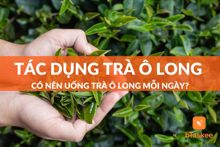 Trà Ô Long Có Tác Dụng Gì Và 9 Công Dụng Đối Với Sức Khỏe
