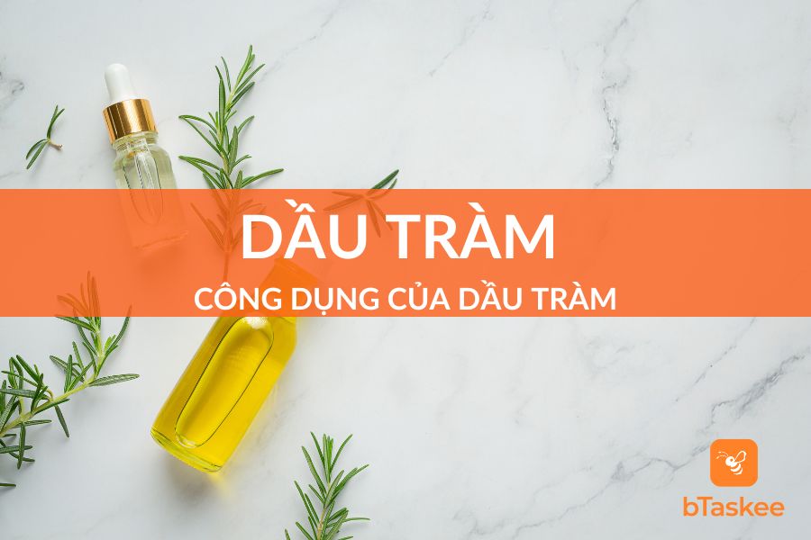 Mách Bạn 8 Công Dụng Của Dầu Tràm Tốt Nhất
