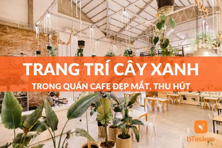 20+ Ý Tưởng Trang Trí Cây Xanh Trong Quán Cafe Đẹp, Thu Hút