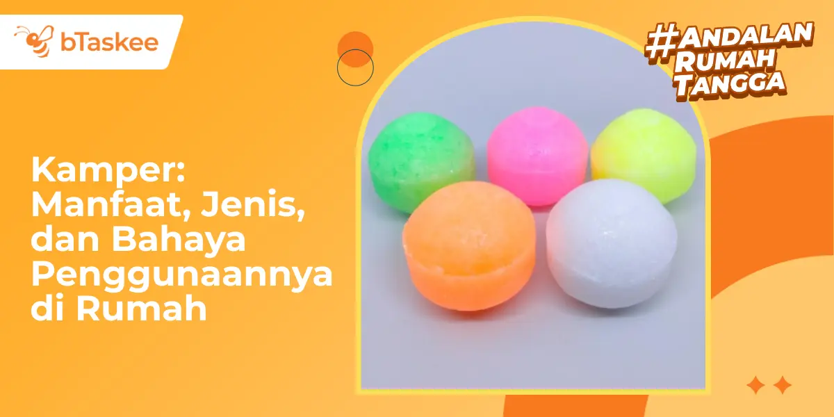 Kamper: Manfaat, Jenis &amp; Bahaya Penggunaannya di Rumah