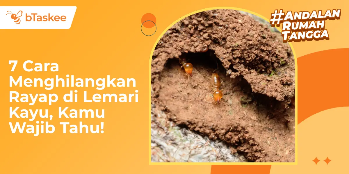 7 Cara Menghilangkan Rayap di Lemari Kayu, Kamu Wajib Tahu!