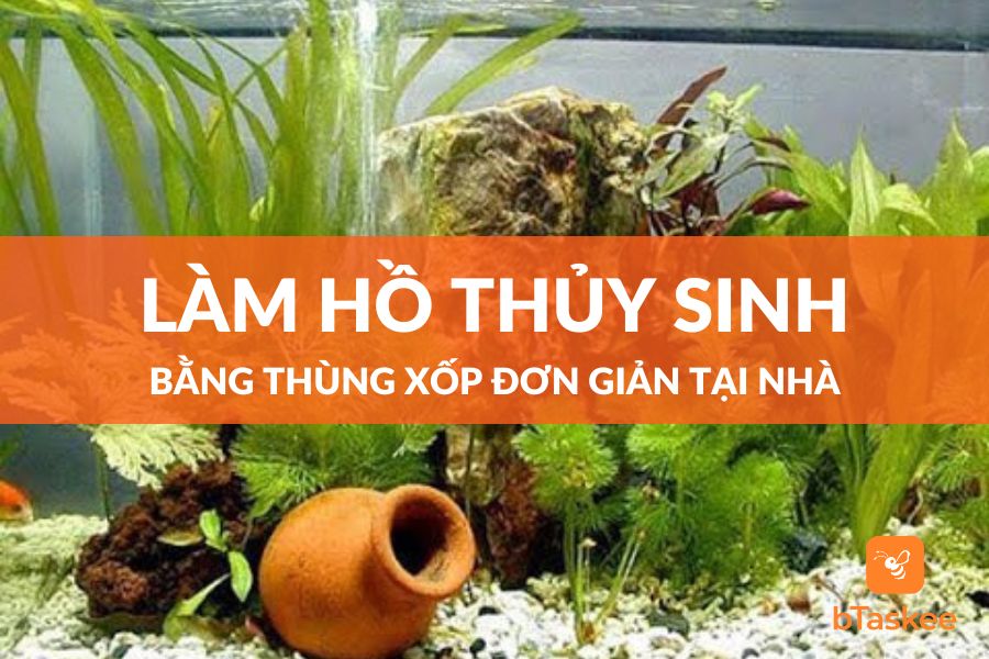 Cách Làm Hồ Thủy Sinh Bằng Thùng Xốp Tại Nhà