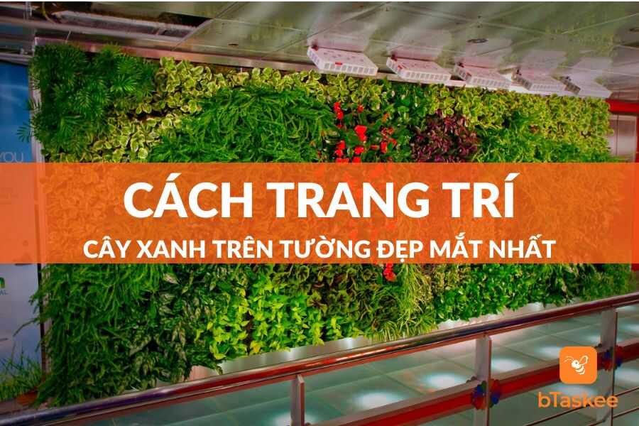 Cách Trang Trí Cây Xanh Trên Tường Đẹp Mắt Nhất