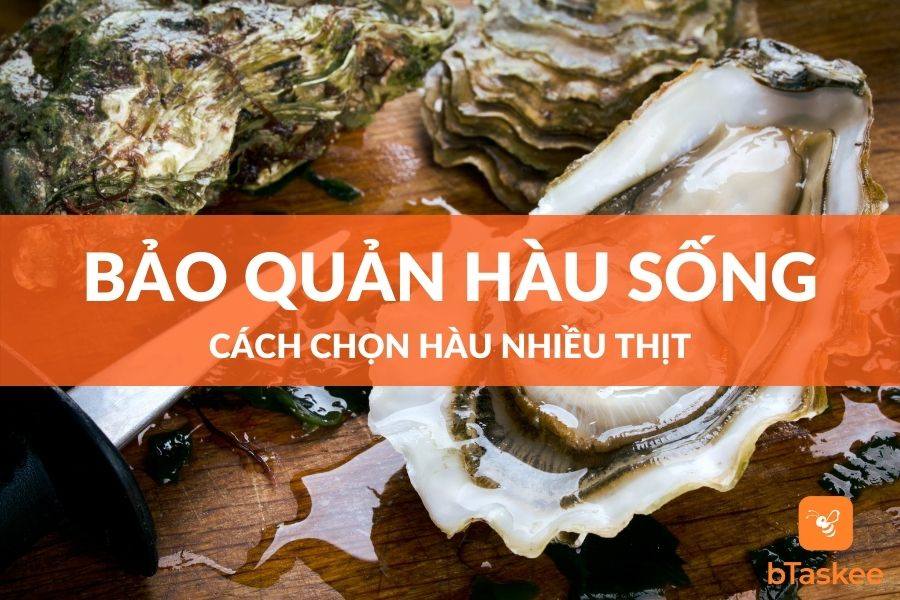 Cách Chọn Mua Hàu Và Bảo Quản Hàu Sống Tươi Ngon