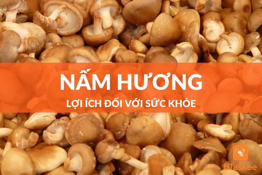 Nấm Hương Và Lợi Ích Đối Với Sức Khỏe